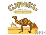 CAMEL()۸ͼ